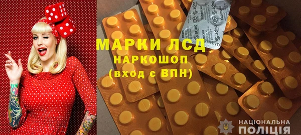 стаф Горнозаводск
