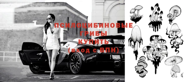 стаф Горнозаводск