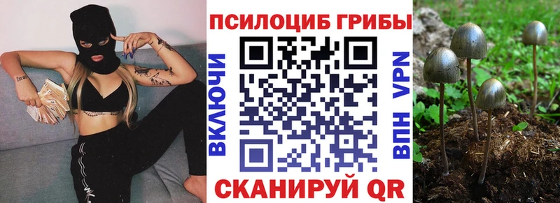 Галлюциногенные грибы Psilocybine cubensis  Купить закладки  Арзамас 